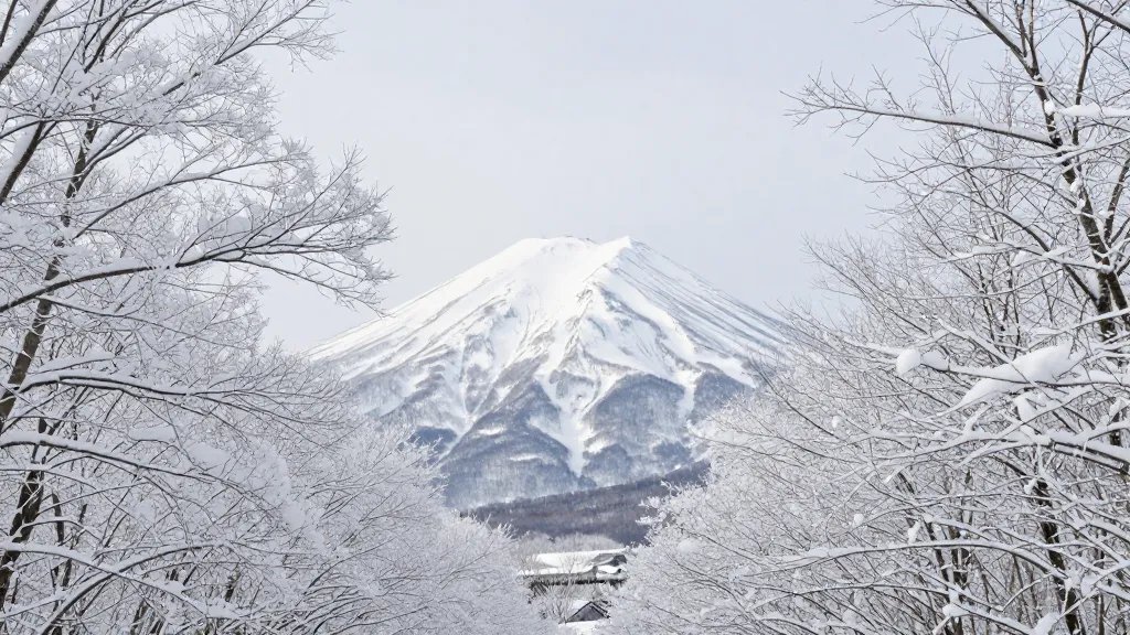 Distant alpine peak framed by powdery trees in Niseko, Japan