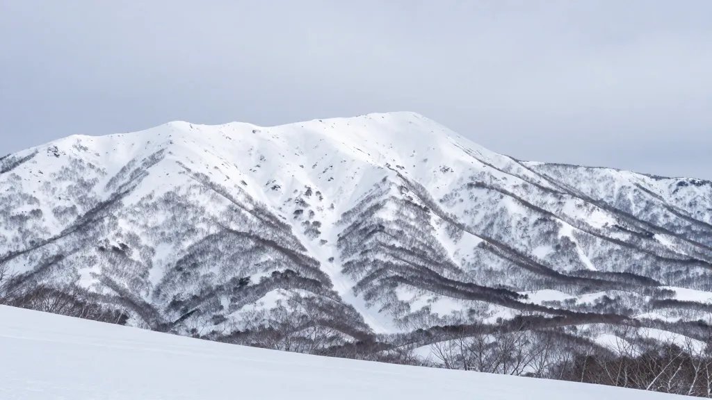 Silent backcountry ridge line with fresh snow, Niseko, Japan