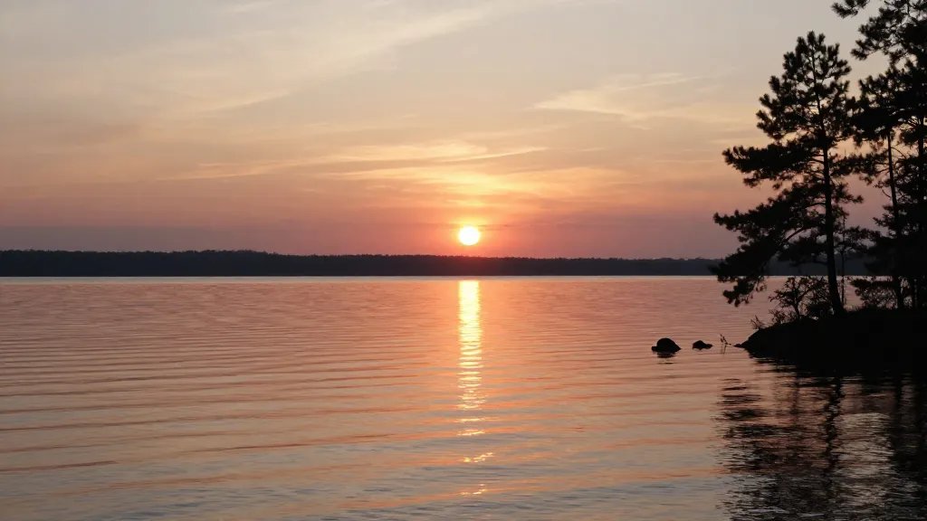 Distant sunset over glassy lake with pine silhouettes