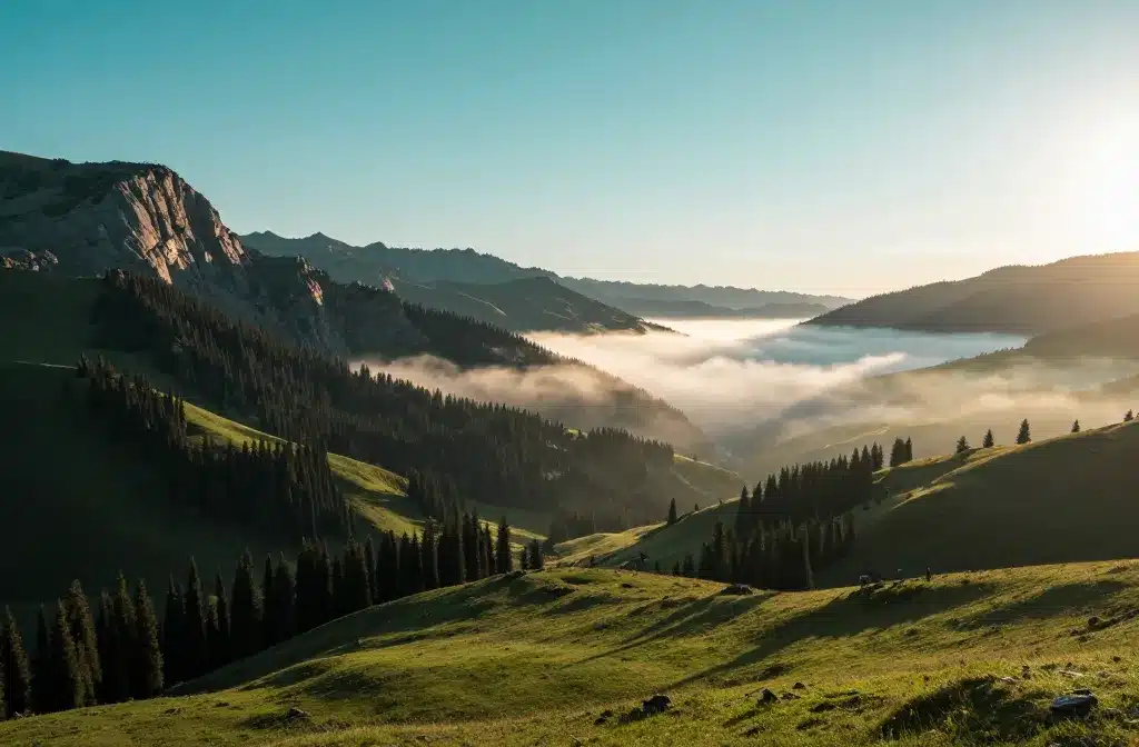9 High Country Beauty Camping Locations Above the Clouds: Top Picks