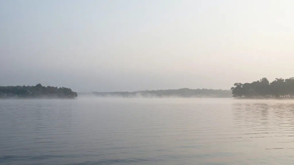 Expansive lake panorama with distant tree silhouettes and soft mist over calm water