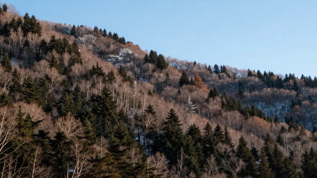 Expansive Niseko forested slope under blue daytime sky