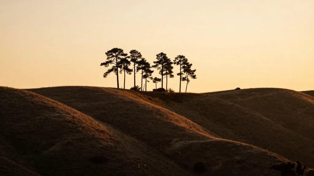 Golden hour ridge line with distant pine silhouettes